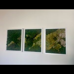 Moss Wall art triptych - new!